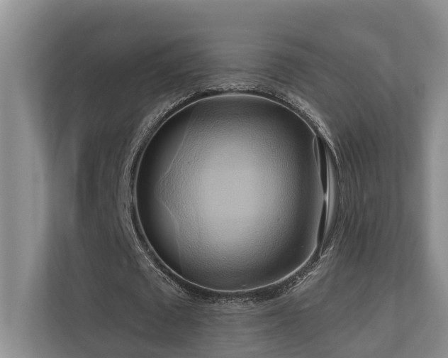 X0000110680673200906121206