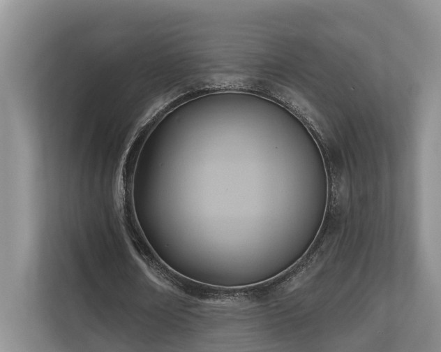X0000110680674200906121206