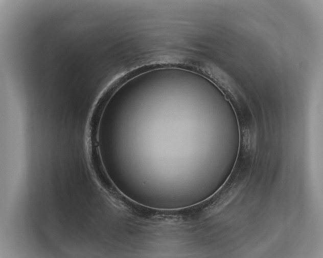 X0000110680676200906121206