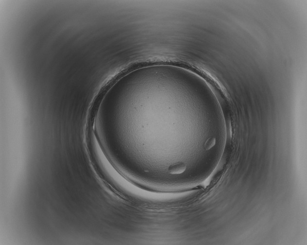 X0000110680677200906121206
