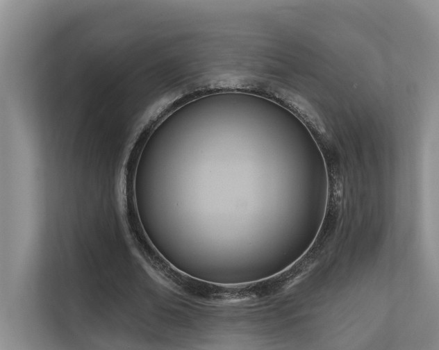 X0000110680678200906121206