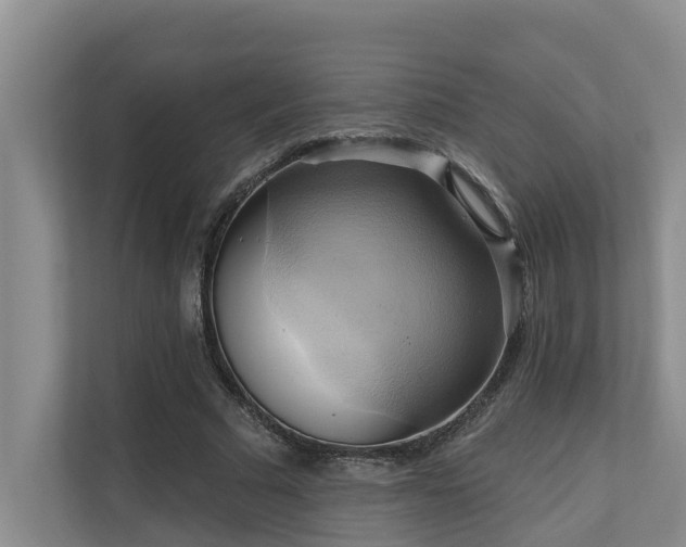 X0000110680681200906121206