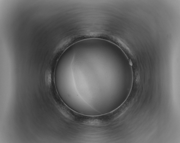 X0000110680685200906121206