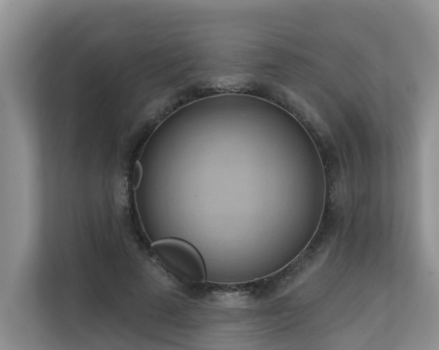 X0000110680689200906121206