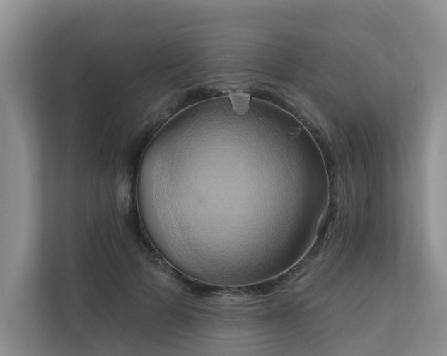 X0000110680697200906121206