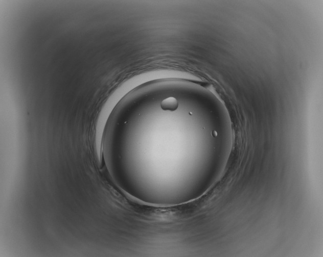 X0000110680701200906121206