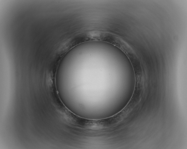 X0000110680702200906121206