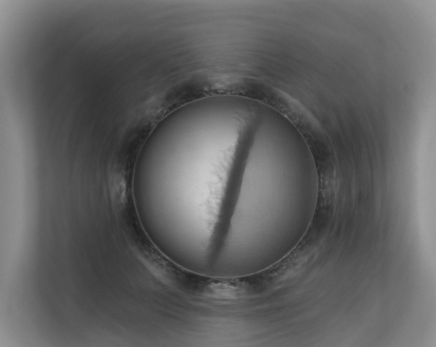 X0000110680703200906121206