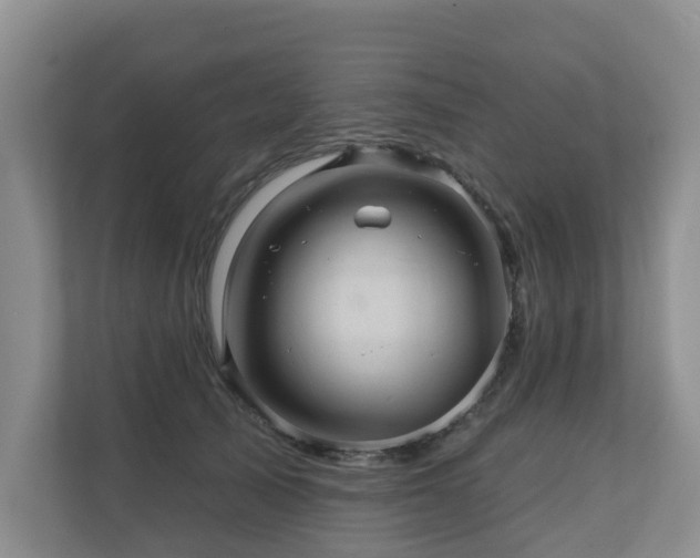 X0000110680705200906121206