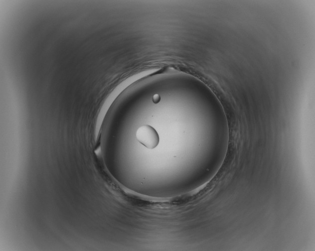 X0000110680708200906121206
