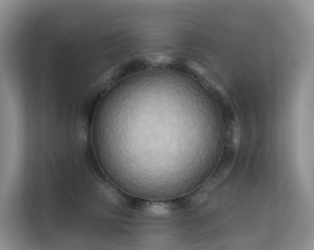 X0000110680710200906121206