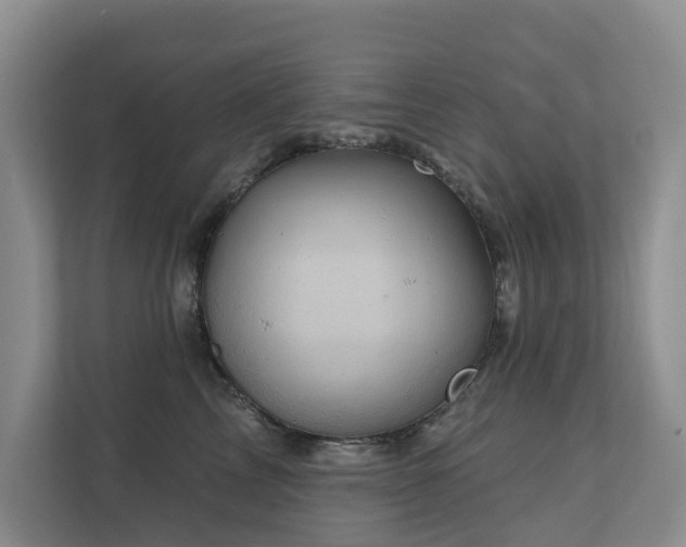 X0000110680713200906121206