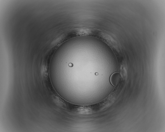 X0000110680714200906121206