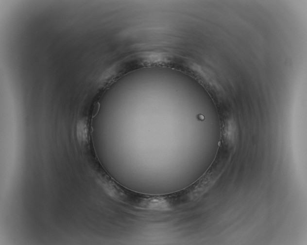 X0000110680715200906121206