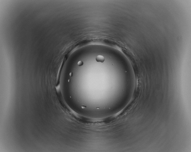 X0000110680716200906121206