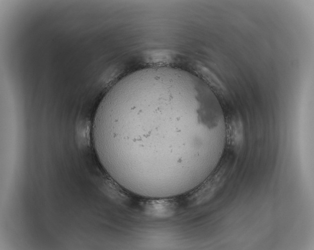X0000110680717200906121206