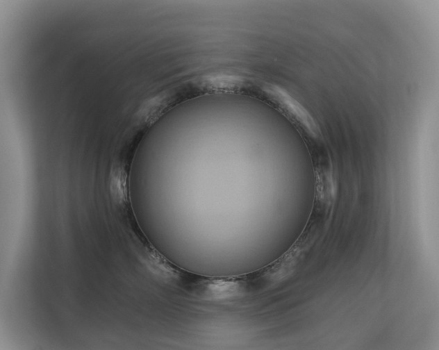 X0000110680718200906121206