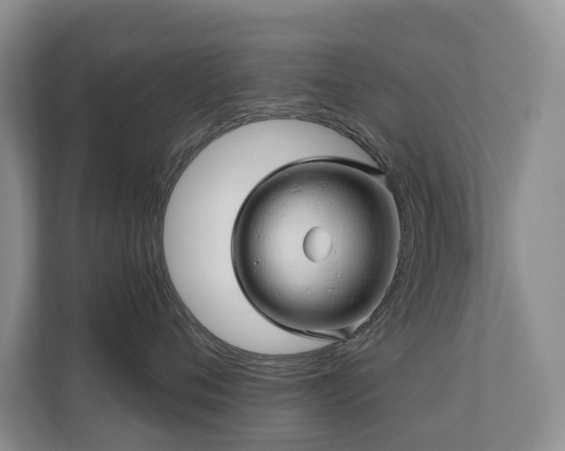 X0000110680720200906121206