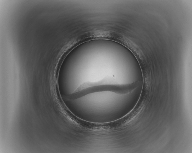 X0000110680721200906121205