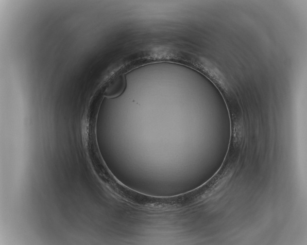 X0000110680722200906121205