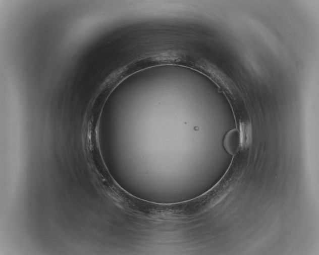 X0000110680723200906121205