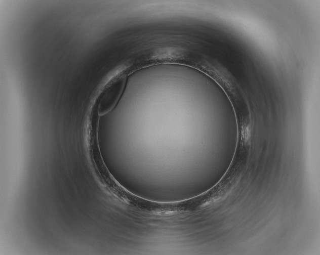 X0000110680724200906121205