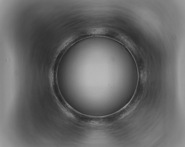 X0000110680725200906121205