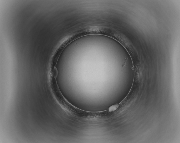 X0000110680728200906121205