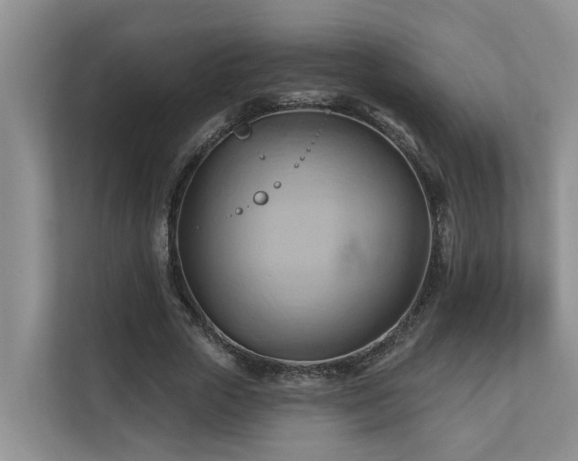 X0000110680729200906121205