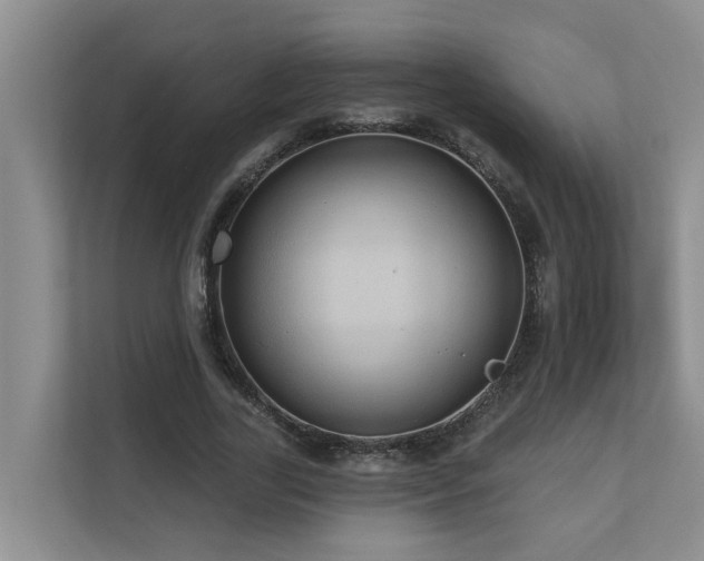 X0000110680731200906121205