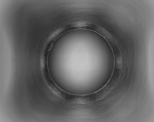 X0000110680732200906121205
