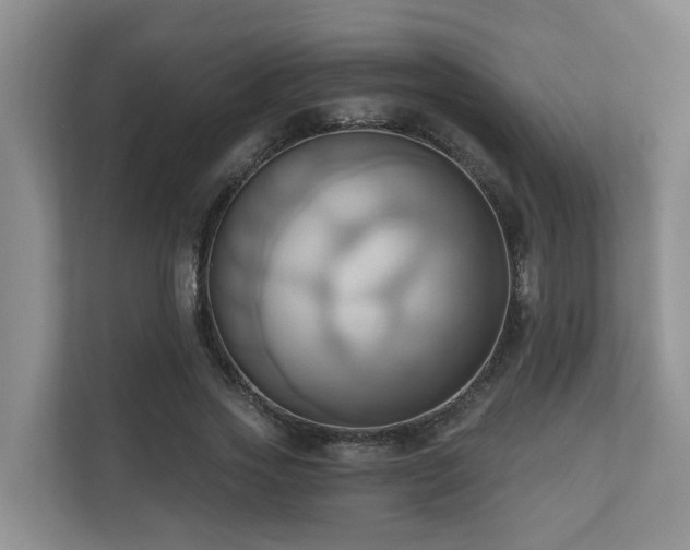X0000110680733200906121205