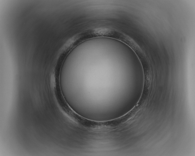 X0000110680734200906121205