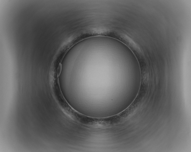 X0000110680736200906121205