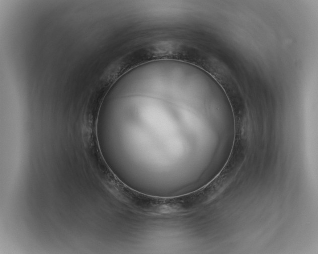 X0000110680737200906121205
