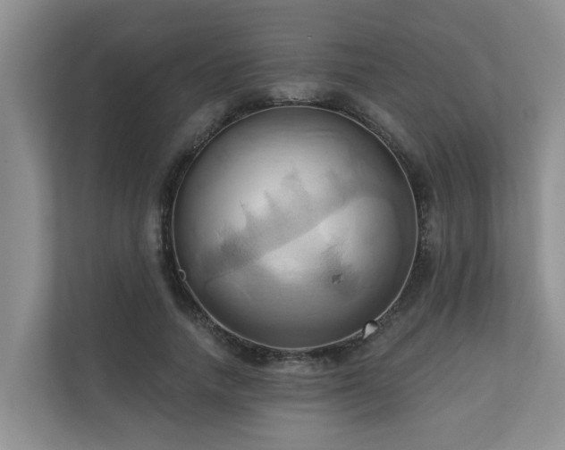 X0000110680738200906121205