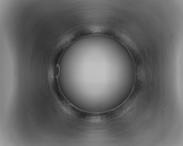 X0000110680740200906121205