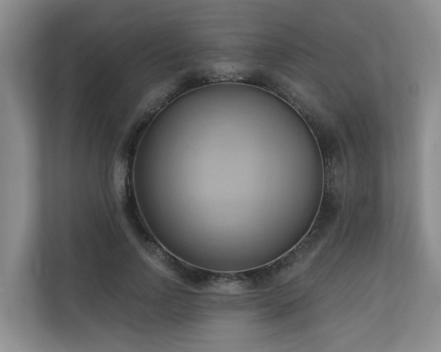 X0000110680742200906121205