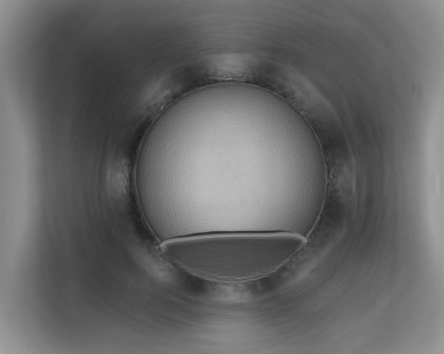 X0000110680744200906121205