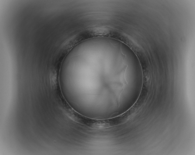 X0000110680745200906121205