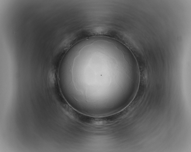 X0000110680746200906121205