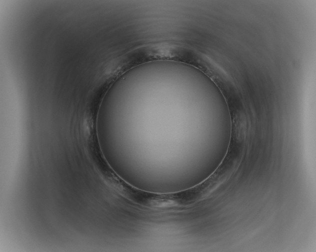 X0000110680747200906121205