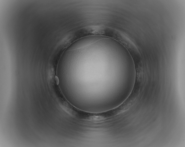 X0000110680748200906121205