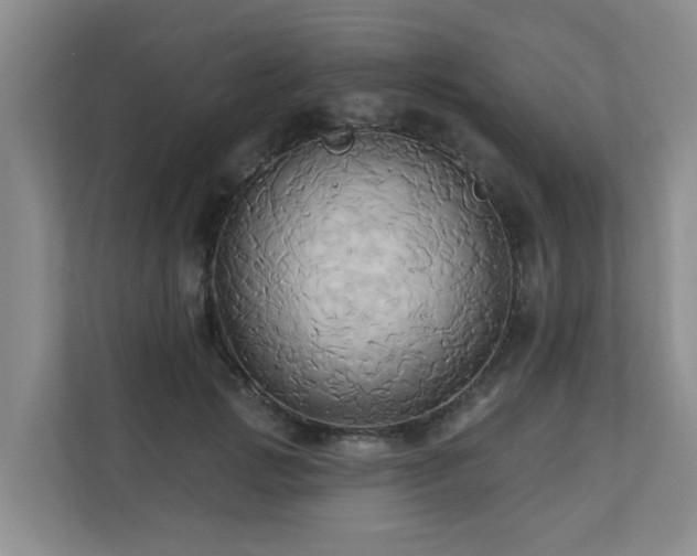 X0000110680749200906121205