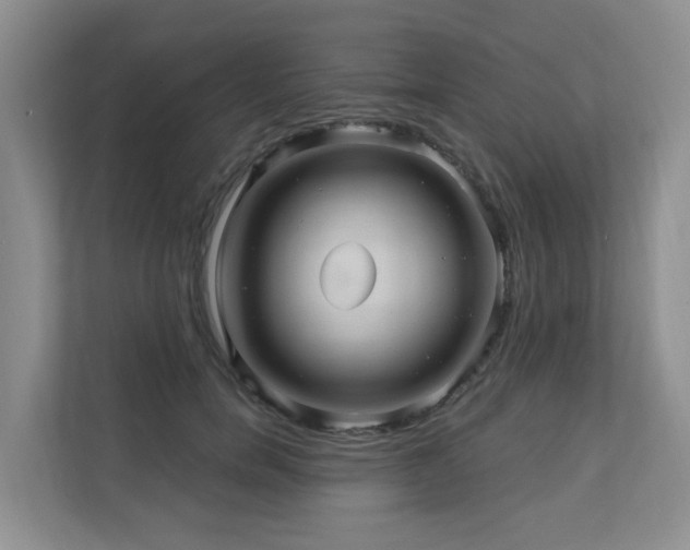 X0000110680750200906121205