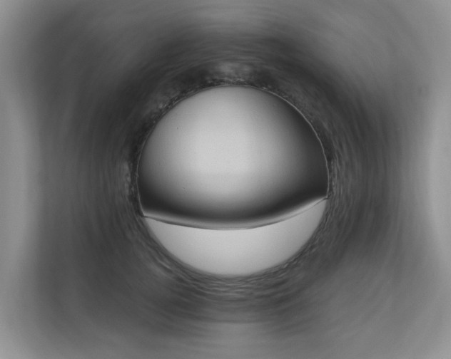 X0000110680752200906121206