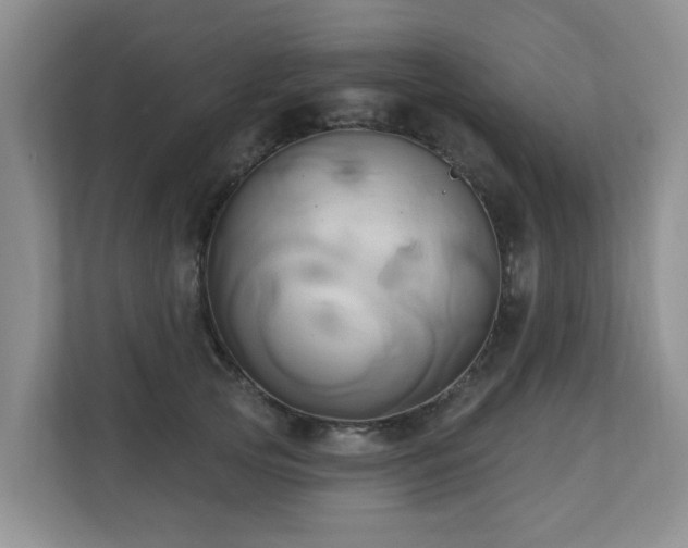 X0000110680753200906121206