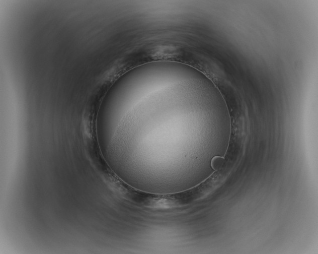 X0000110680755200906121206