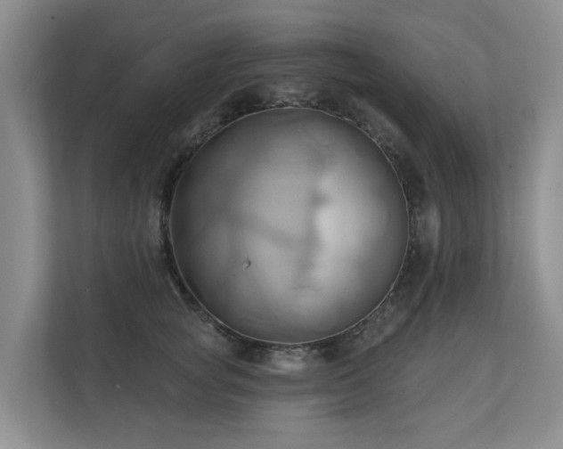 X0000110680757200906121206
