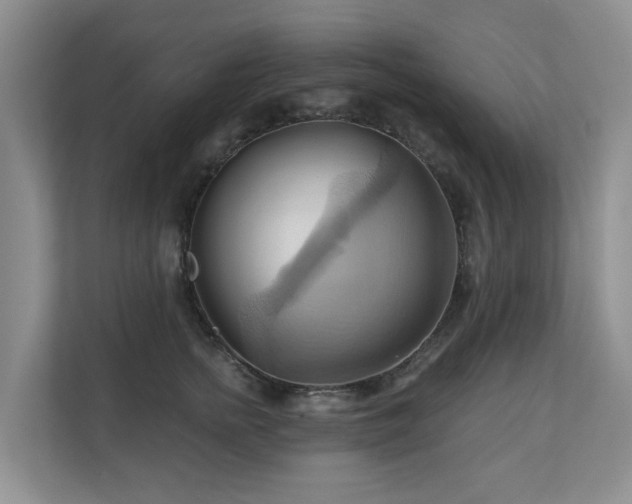 X0000110680758200906121206